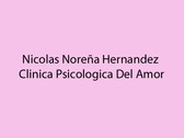 Nicolas Noreña Hernandez