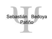 Sebastián Bedoya Patiño