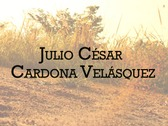 Julio César Cardona Velásquez
