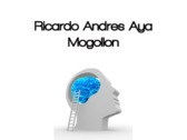 Ricardo Andres Aya Mogollon
